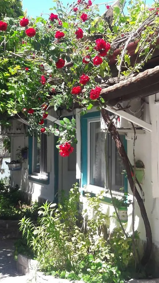 Zakkum Pansiyon Dalyan 0*,  Turkey